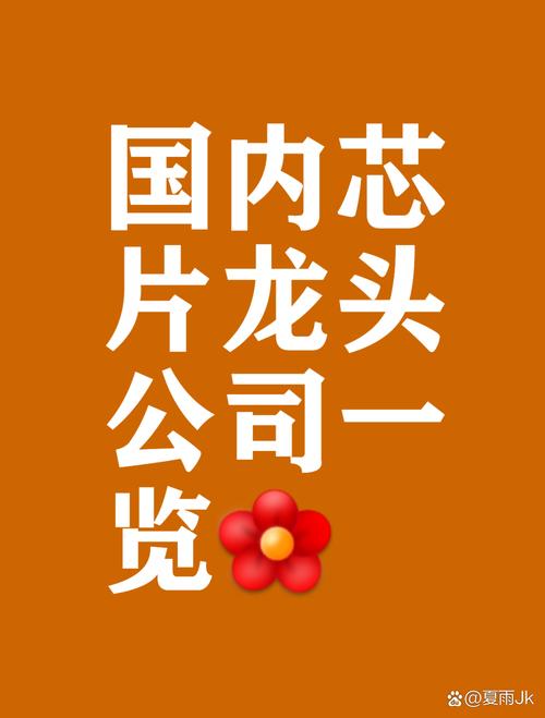 信息,主要从事高端处理器,加速器等计算芯片产品和系统的研究,开发