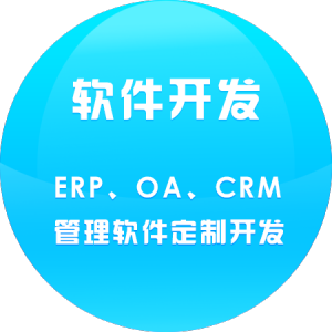 软件开发